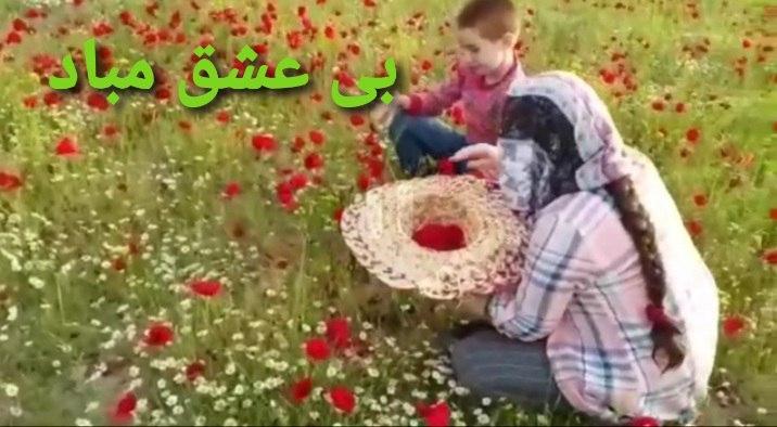 جشنواره فیلم کوتاه ستایش - بی عشق مباد