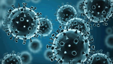 آخرین وضعیت کرونا در ایران - radiocyp