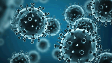 آخرین وضعیت کرونا در ایران - radiocyp