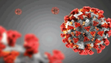 چه درجه حرارتی کرونا را نابود میکند - radiocyp