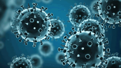 کرونا در ایران 2020/11/02 - رادیو قبرس