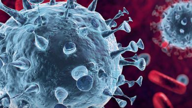 تصمیمات جدید کمیته‌ عالی - رادیو قبرس