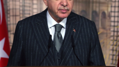 اردوغان - رادیو قبرس
