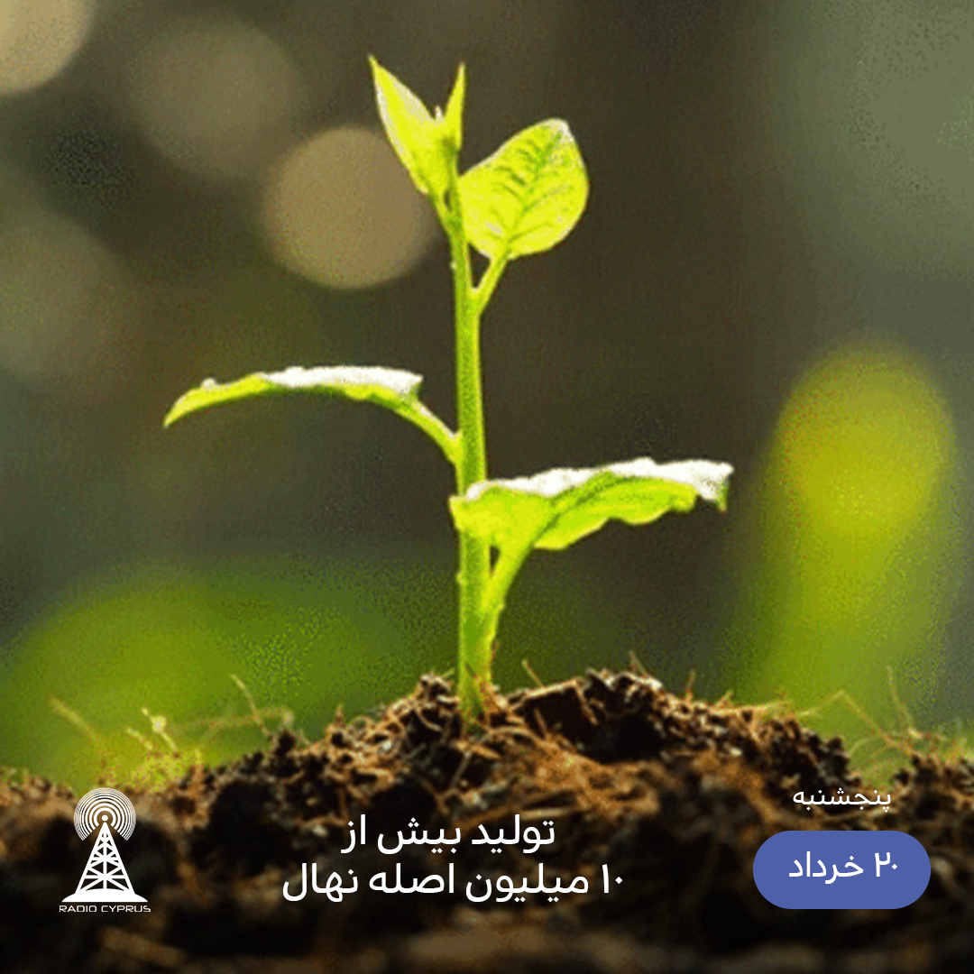 نهال - رادیو قبرس
