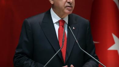 اردوغان - رادیو قبرس