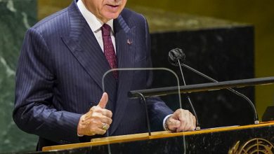 اردوغان - رادیو قبرس