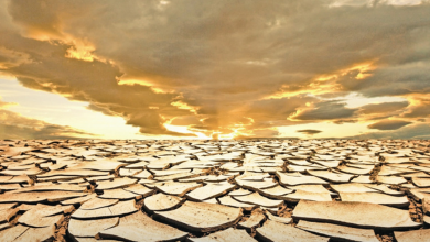 بیابان - رادیو قبرس